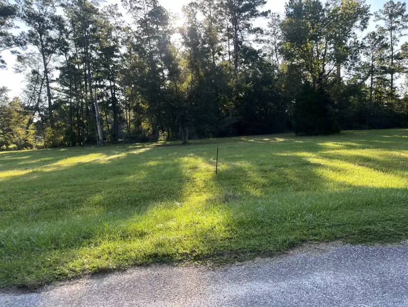 Wewahitchka, FL 32465-5406,Stanley Dr