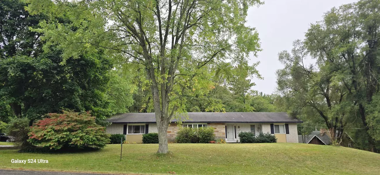 17339 McKinley Rd, Big Rapids, MI 49307