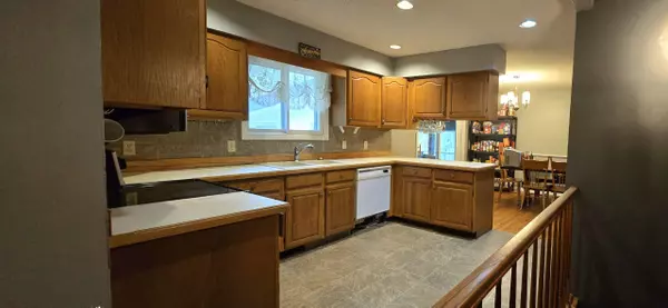 Big Rapids, MI 49307,17339 McKinley Rd