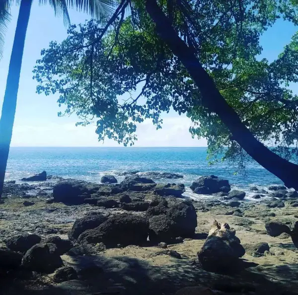 Cabuya, Costa Rica,