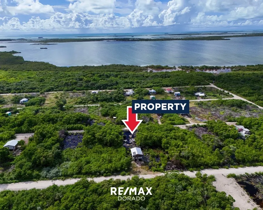 Residential property Parcel 12161 Heredia Subdivision, North San Pedro Town,