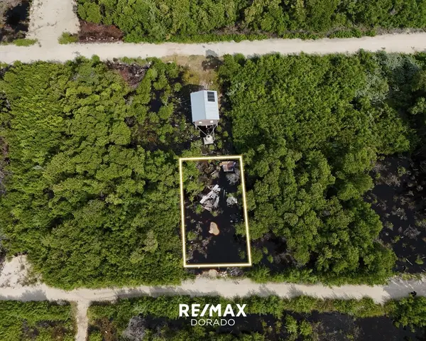 Residential property Parcel 12161 Heredia Subdivision, North San Pedro Town,