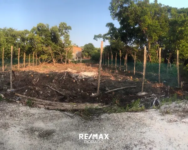 Residential property Parcel 12161 Heredia Subdivision, North San Pedro Town,