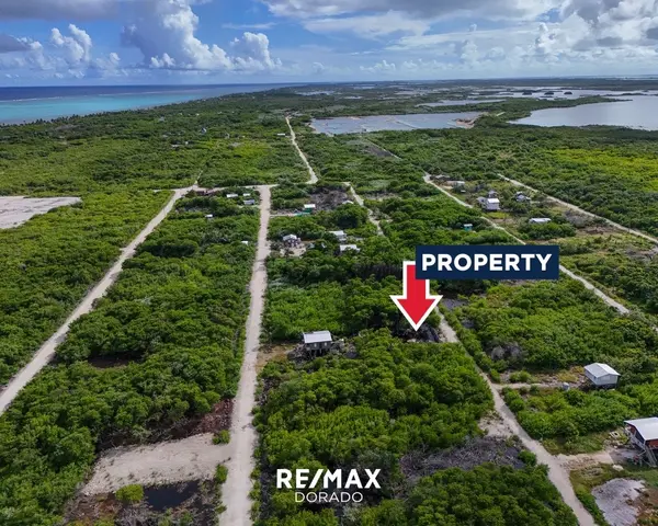 Residential property Parcel 12161 Heredia Subdivision, North San Pedro Town,