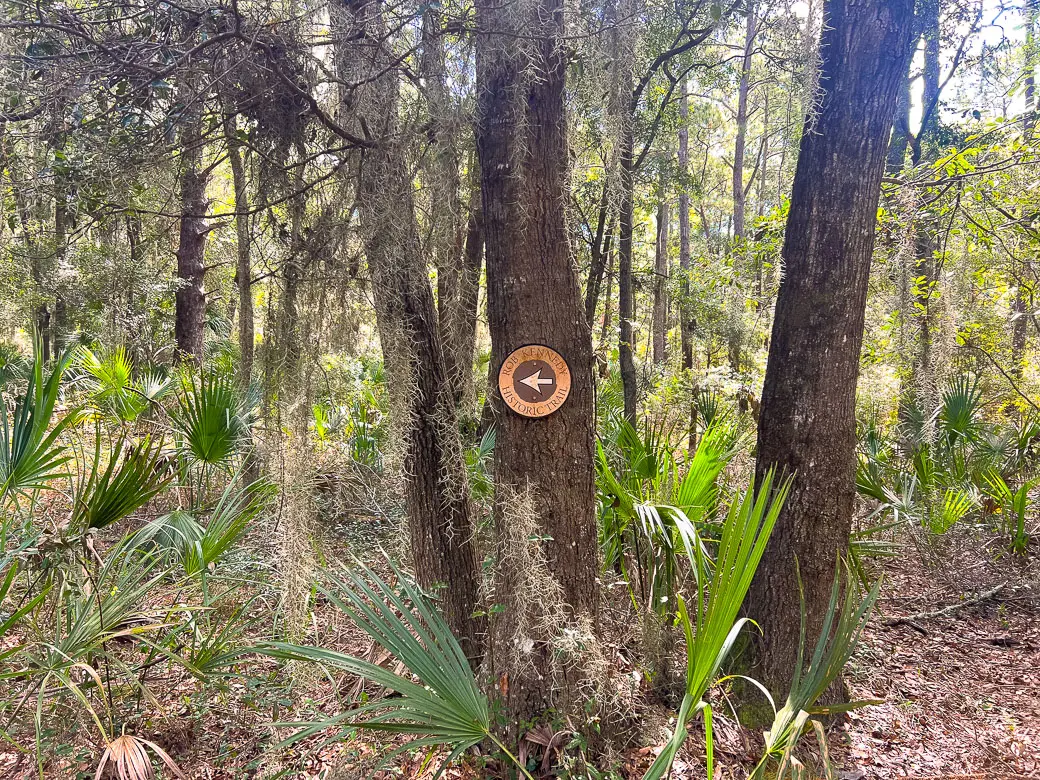1 Rodeo Dr, Daufuskie Island, SC 29915-9239