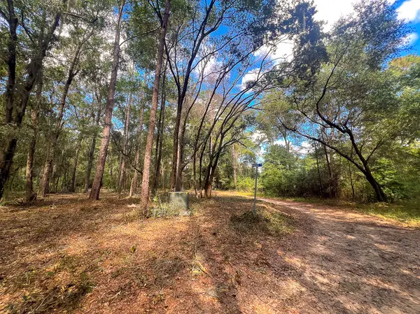 1 Rodeo Dr, Daufuskie Island, SC 29915-9239