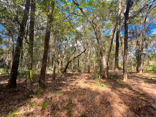 1 Rodeo Dr, Daufuskie Island, SC 29915-9239