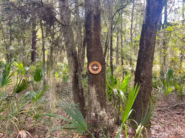 1 Rodeo Dr, Daufuskie Island, SC 29915-9239