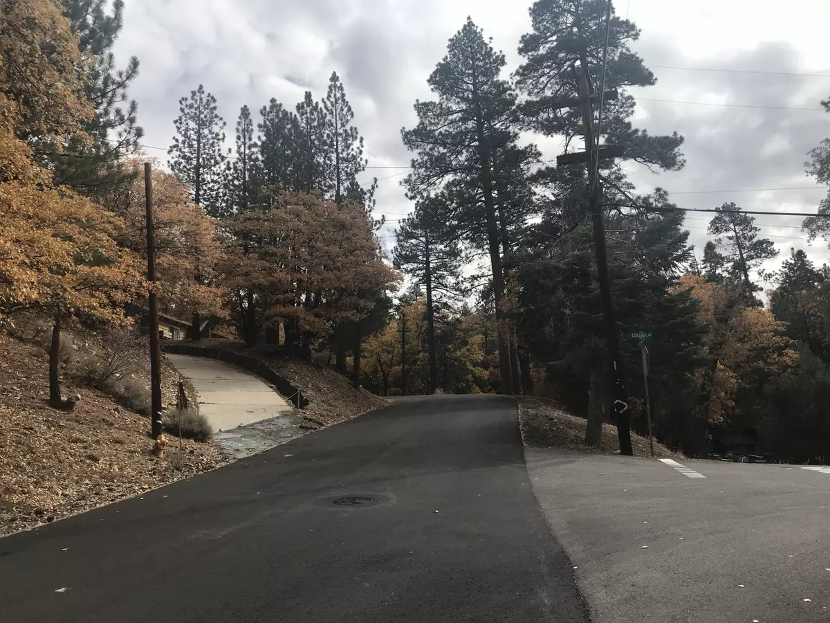 Big Bear Lake, CA 92315-2294,1104 Sheephorn Rd #0