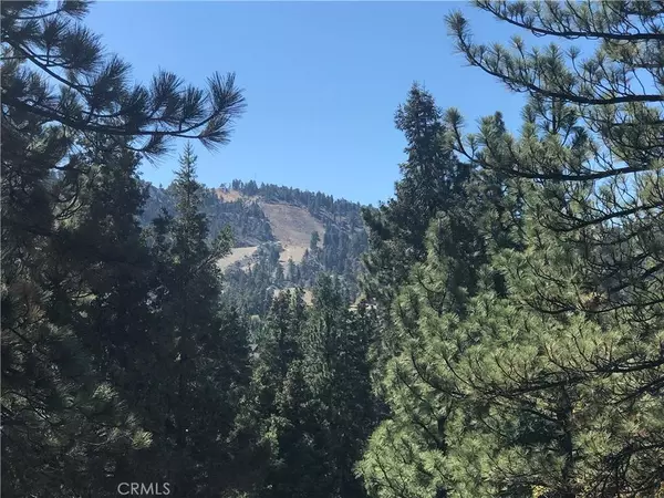 Big Bear Lake, CA 92315-2294,1104 Sheephorn Rd #0