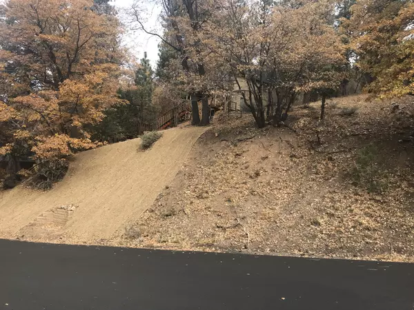 Big Bear Lake, CA 92315-2294,1104 Sheephorn Rd #0