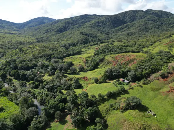 Torio - Veraguas,