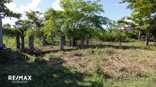 Belmopan,,Oversized vacant lot behind University of Belize