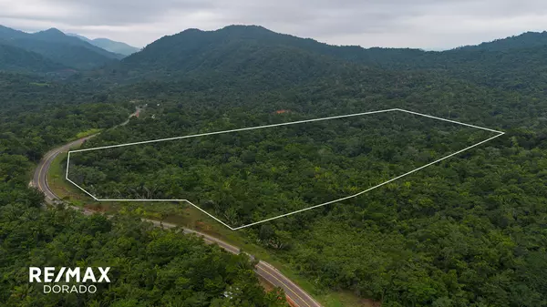 Hummingbird Highway,,50 Acre Tropical Paradise Near Angel Falls