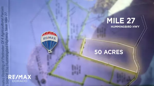 Hummingbird Highway,,50 Acre Tropical Paradise Near Angel Falls