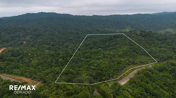 Hummingbird Highway,,50 Acre Tropical Paradise Near Angel Falls