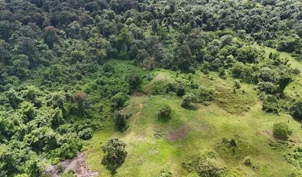 Bocas del Toro