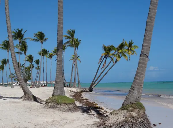 Cap Cana, 23000 Punta Cana, Republic