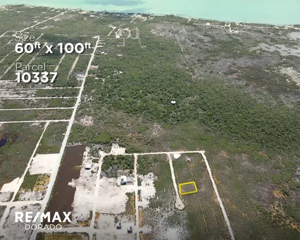 Palmaya Woods, Secret Beach, Pedro