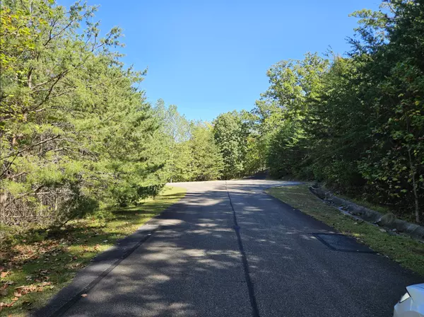 Jasper, GA 30143,Ridgeside Ct