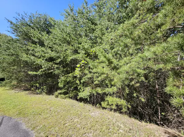 Jasper, GA 30143,Ridgeside Ct