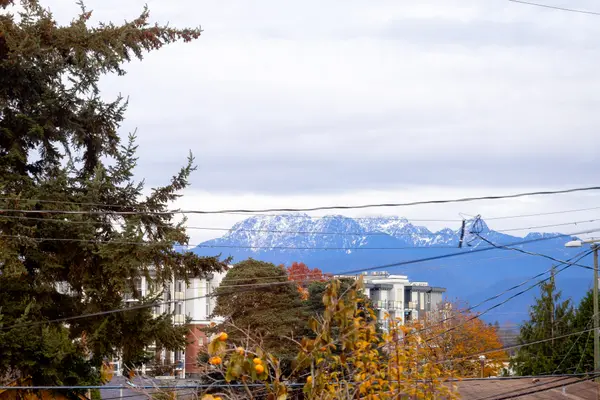 2230 Hawthorne Ave, Port Coquitlam, BC V3C 1W6