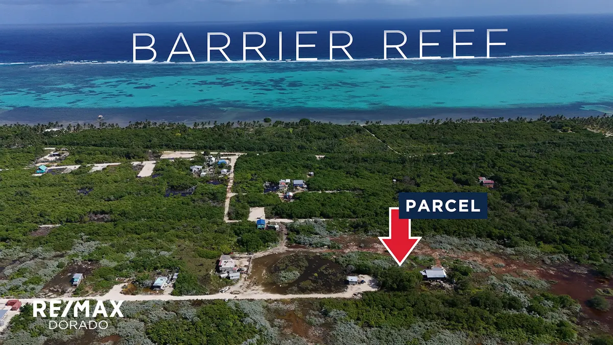 Parcel 17786 North San Pedro Heredia sub