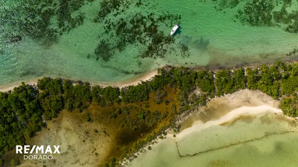 Secluded beach front lot, Ambergris Caye, 