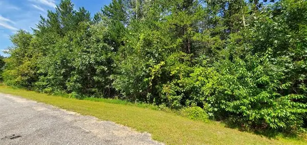 1.72A Bass Lake Ln
