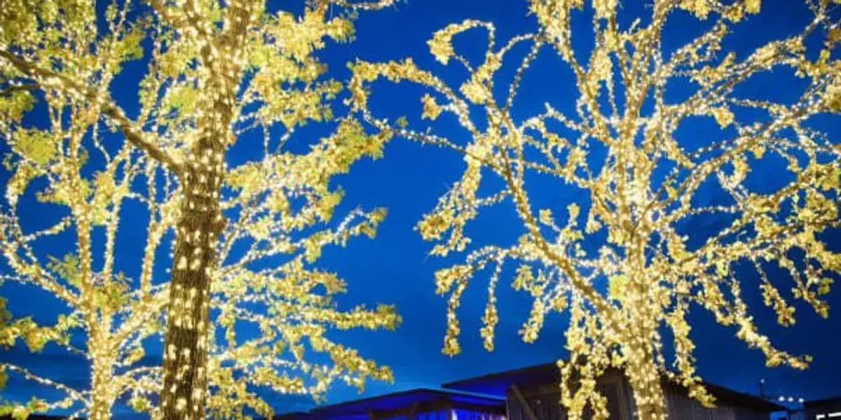 Cultural District's Modern Lights, Viewchristmaslights.com,