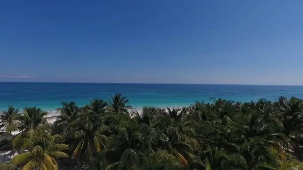 Punta Cana, Cabeza De Toro,