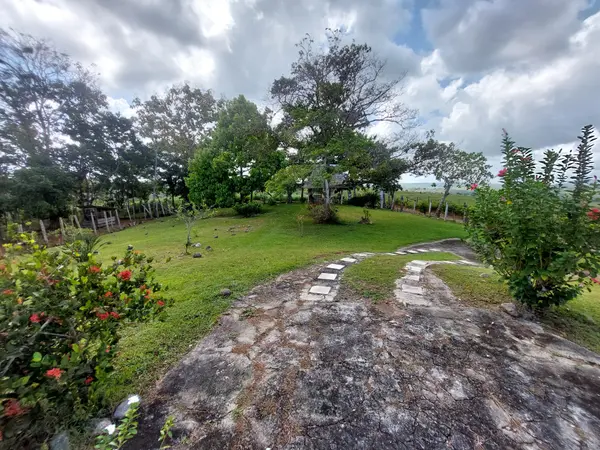 Chorrera