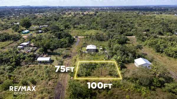 Secluded Oversized Lot in Salvapan, Belmopan,