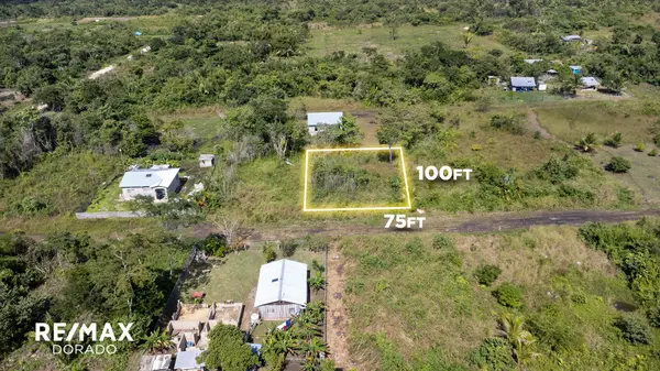 Secluded Oversized Lot in Salvapan, Belmopan,