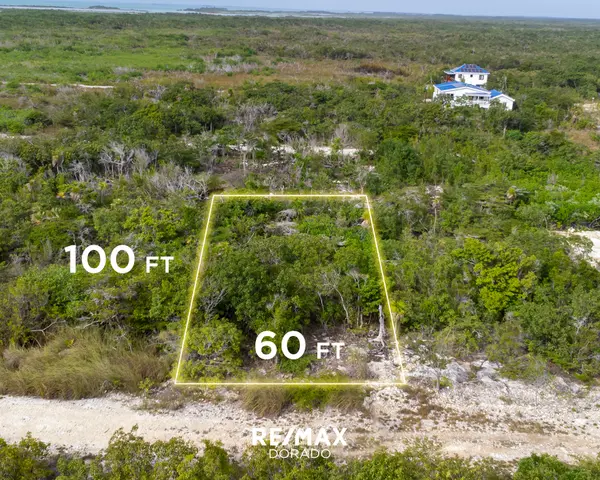 Residential Lot-(Palmaya Woods Estates) Secret Beach Area, Ambergris Caye,