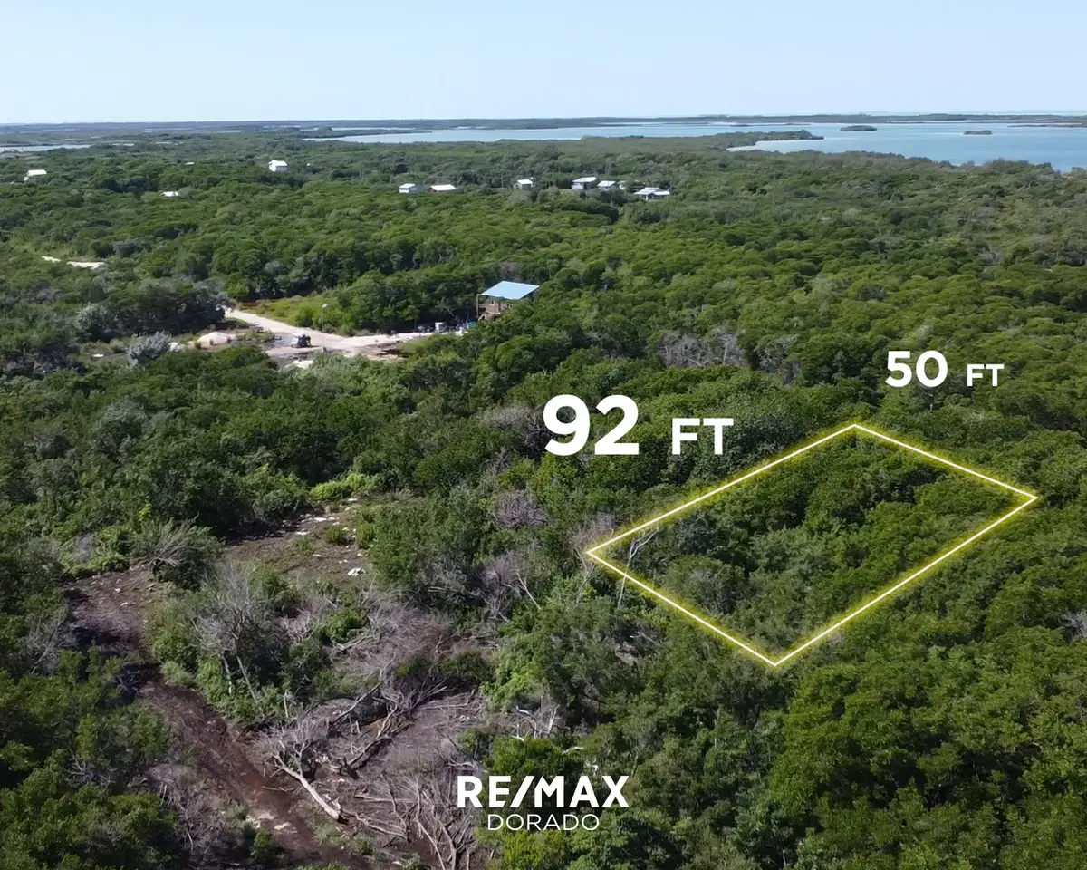 Vacant land north san pedro, Ambergris Caye/ Investment Property,