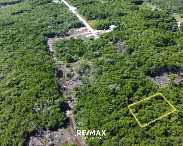 Ambergris Caye/ Investment Property,,Vacant land north san pedro
