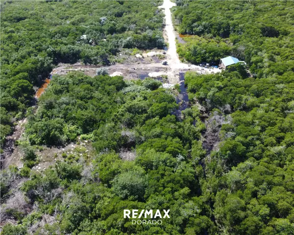 Ambergris Caye/ Investment Property,,Vacant land north san pedro