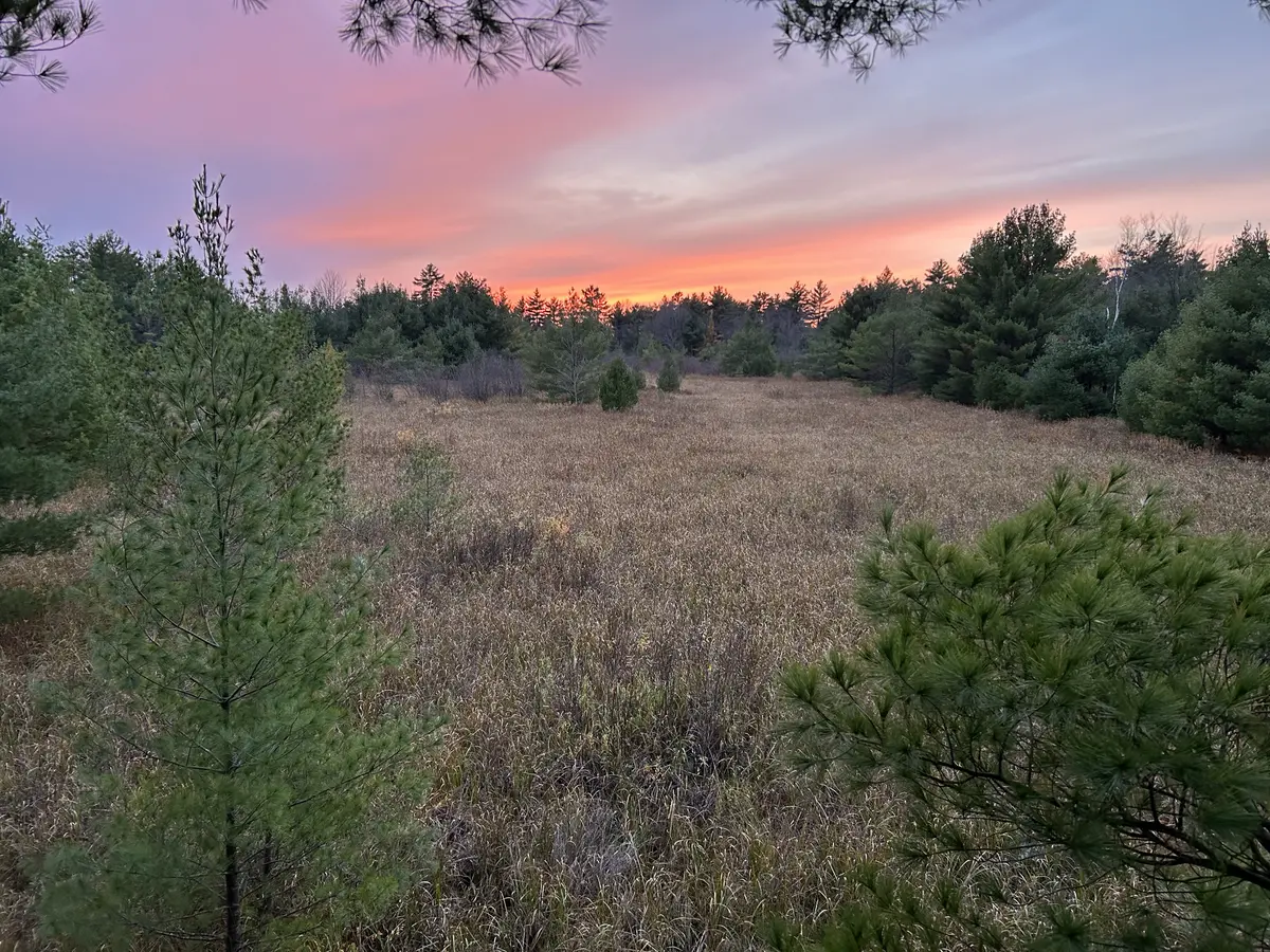 W513 CTH HH, Warrens, WI 54666