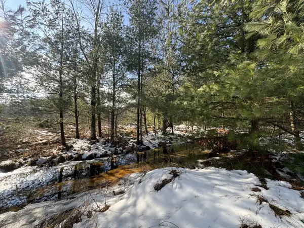 W513 CTH HH, Warrens, WI 54666