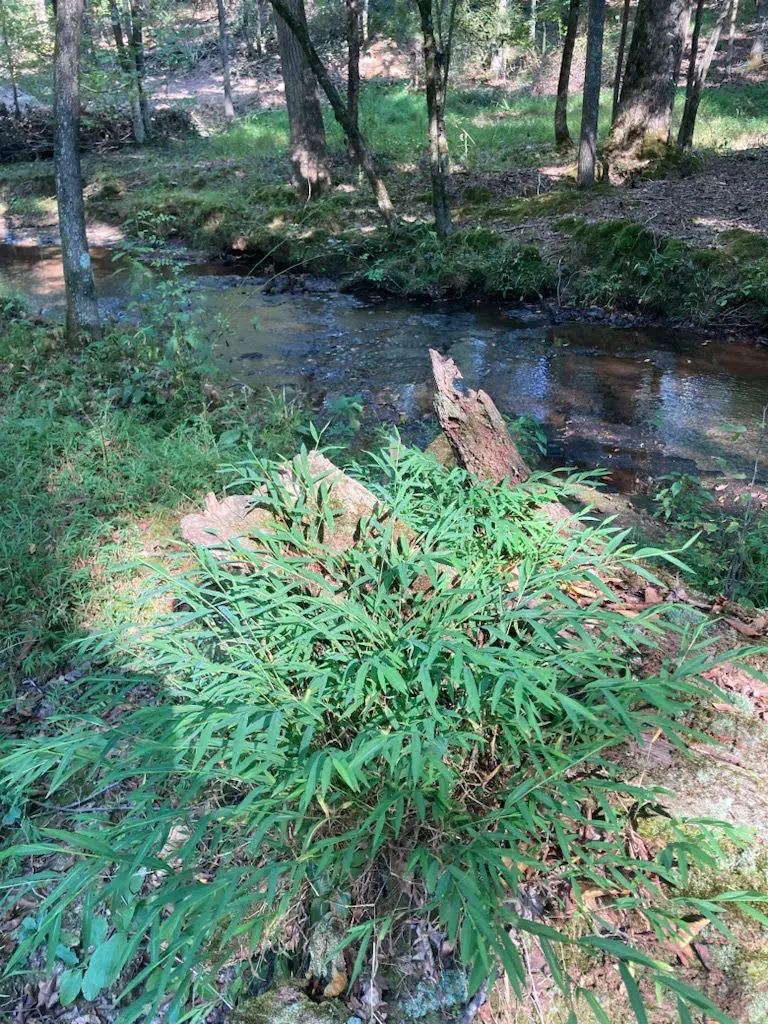 18766 Thompson Rd, Athens, AL 35611