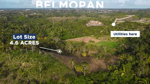 Belmopan City Belize,,4+ Acre farm land- Melvin Hulse Road