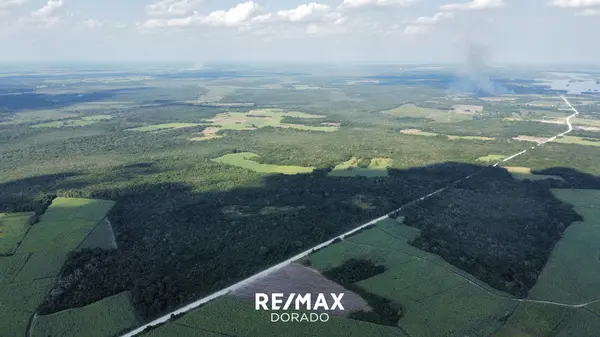 Progresso Village, Corozal District,