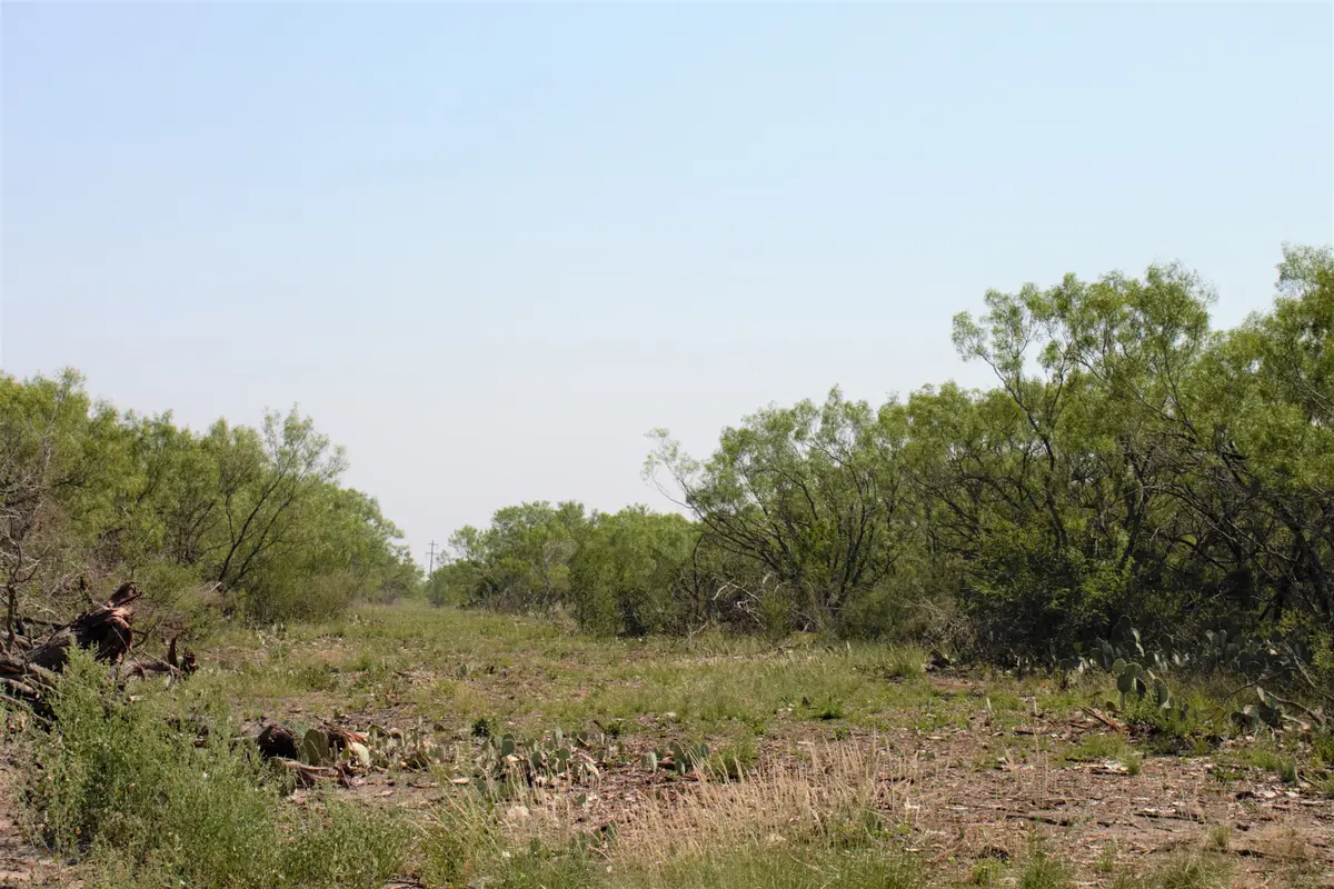 2424 County Road 310, Charlotte, TX 78011