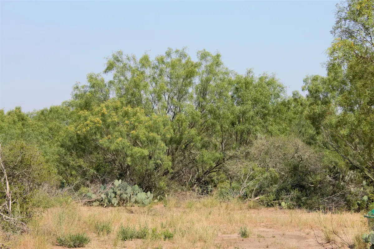 2424 County Road 310, Charlotte, TX 78011