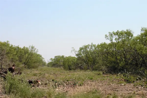 2424 County Road 310, Charlotte, TX 78011