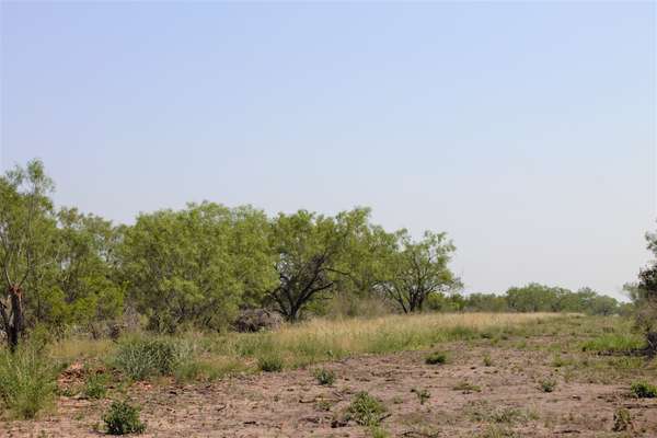 2424 County Road 310, Charlotte, TX 78011