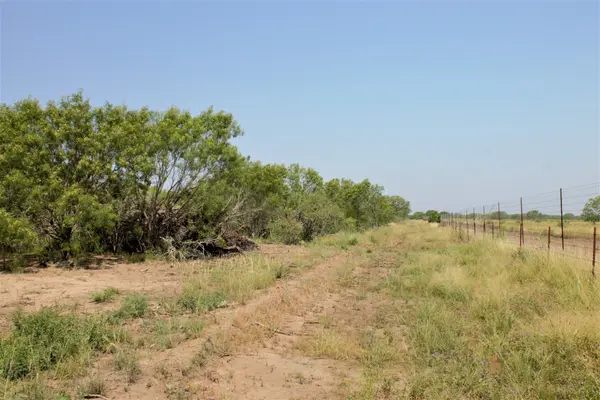 2424 County Road 310, Charlotte, TX 78011