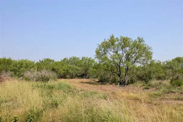 2424 County Road 310, Charlotte, TX 78011