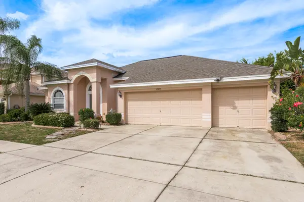 12923 Carlington Ln, Riverview, FL 33579